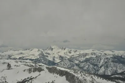 DSC_6701 (Large).JPG